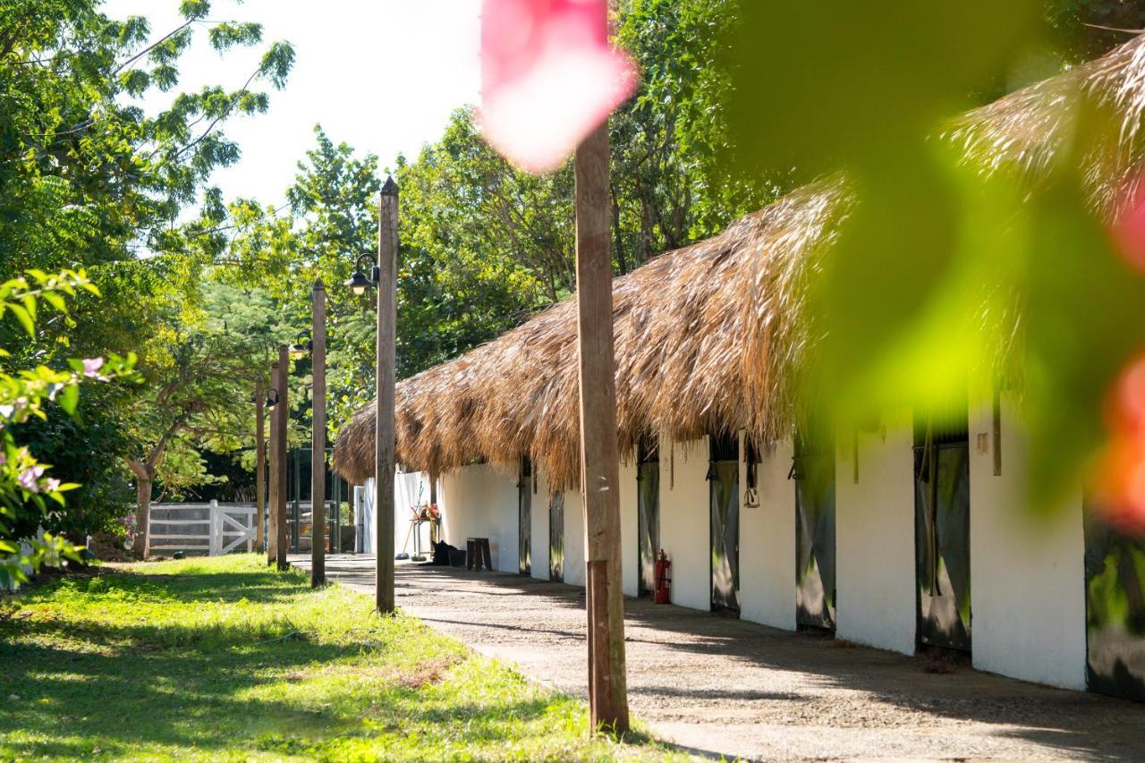 Hotel Casa Hemingway Juan Dolio Εξωτερικό φωτογραφία